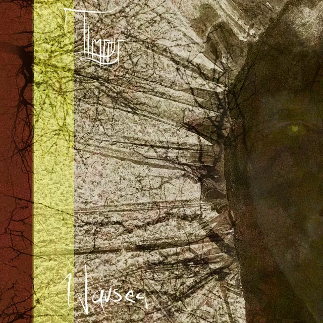 Imrryr - Nausea Album Cover