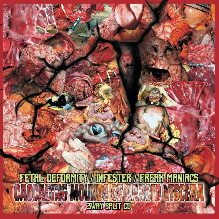 Infester - Cascading Mounds of Rancid Viscera Album Cover