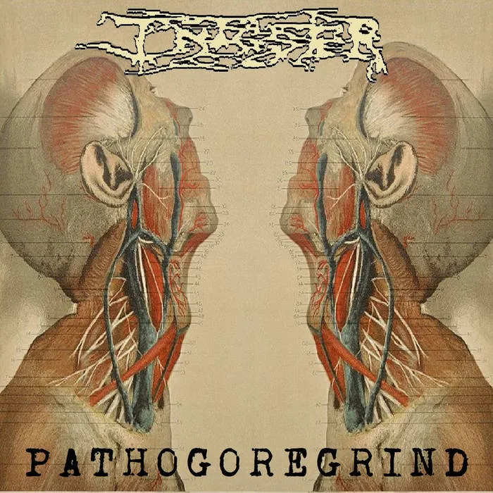 Infester - Pathogoregrind Album Cover Artwork