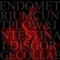 Intestinal Disgorge - Endometrium Cuntplow & Intestinal Disgorge - Collaboration Album Cover