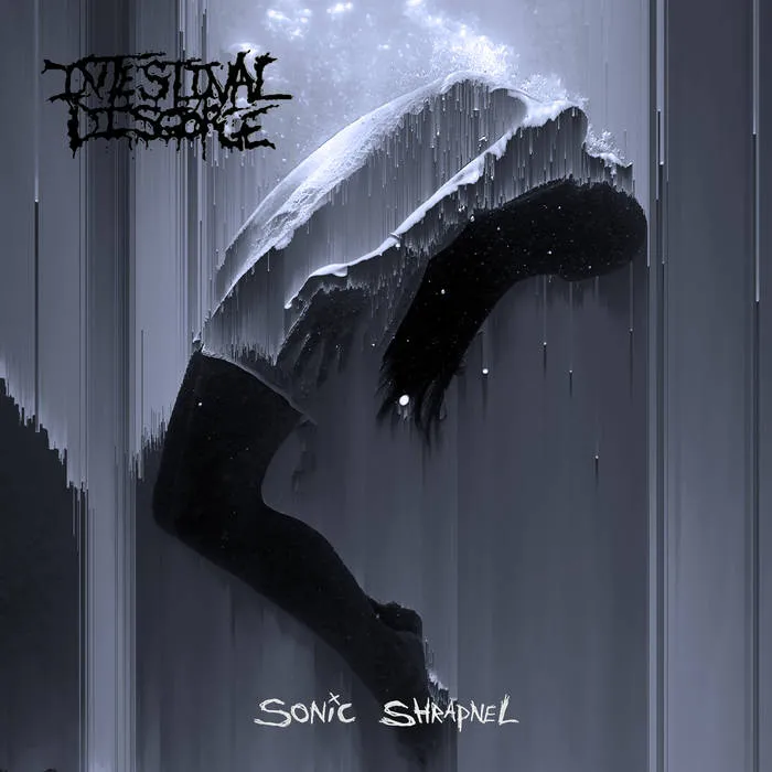 Intestinal Disgorge - Sonic Shrapnel Album Cover