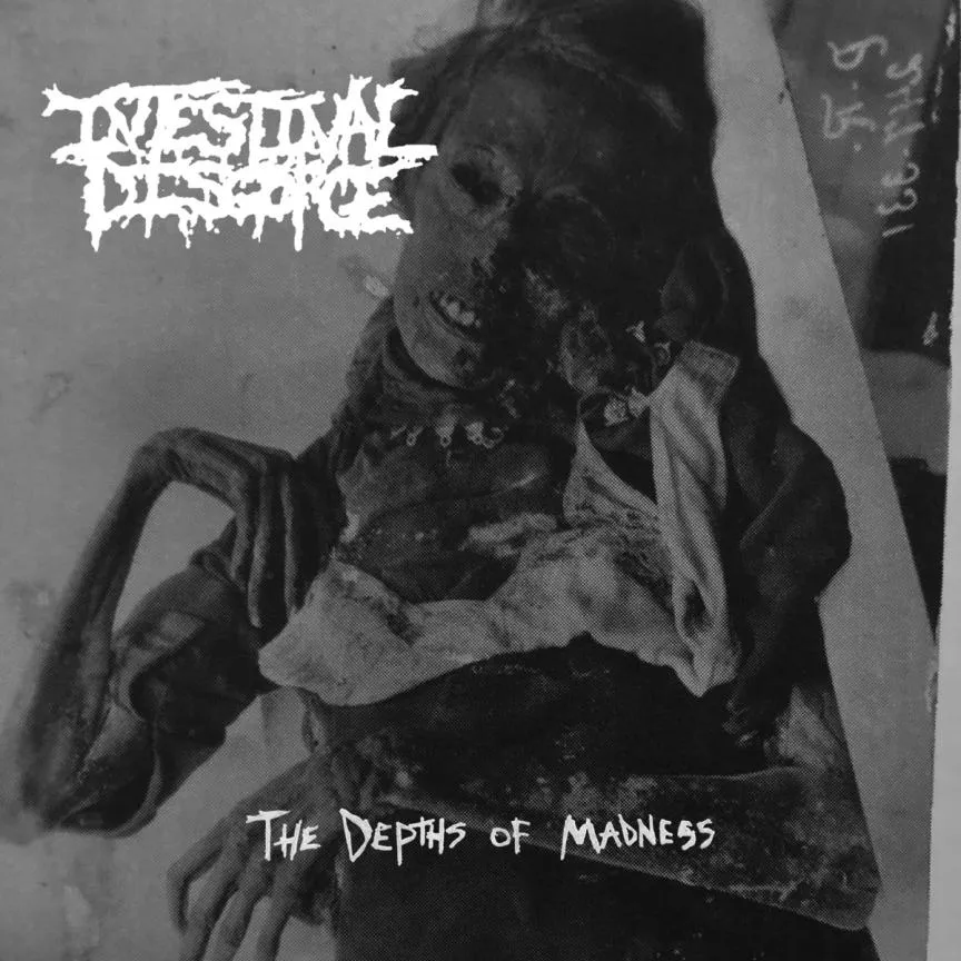 Intestinal Disgorge - The Depths of Madness Album Cover