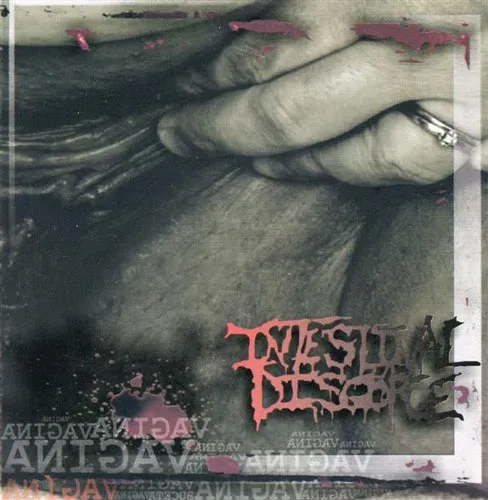 Vagina Album Cover