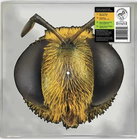 Big Fig Wasp