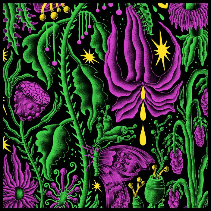 King Gizzard & the Lizard Wizard - Live in Tilburg '25 Album Cover
