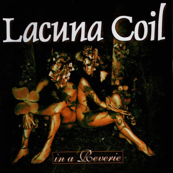 In a Reverie