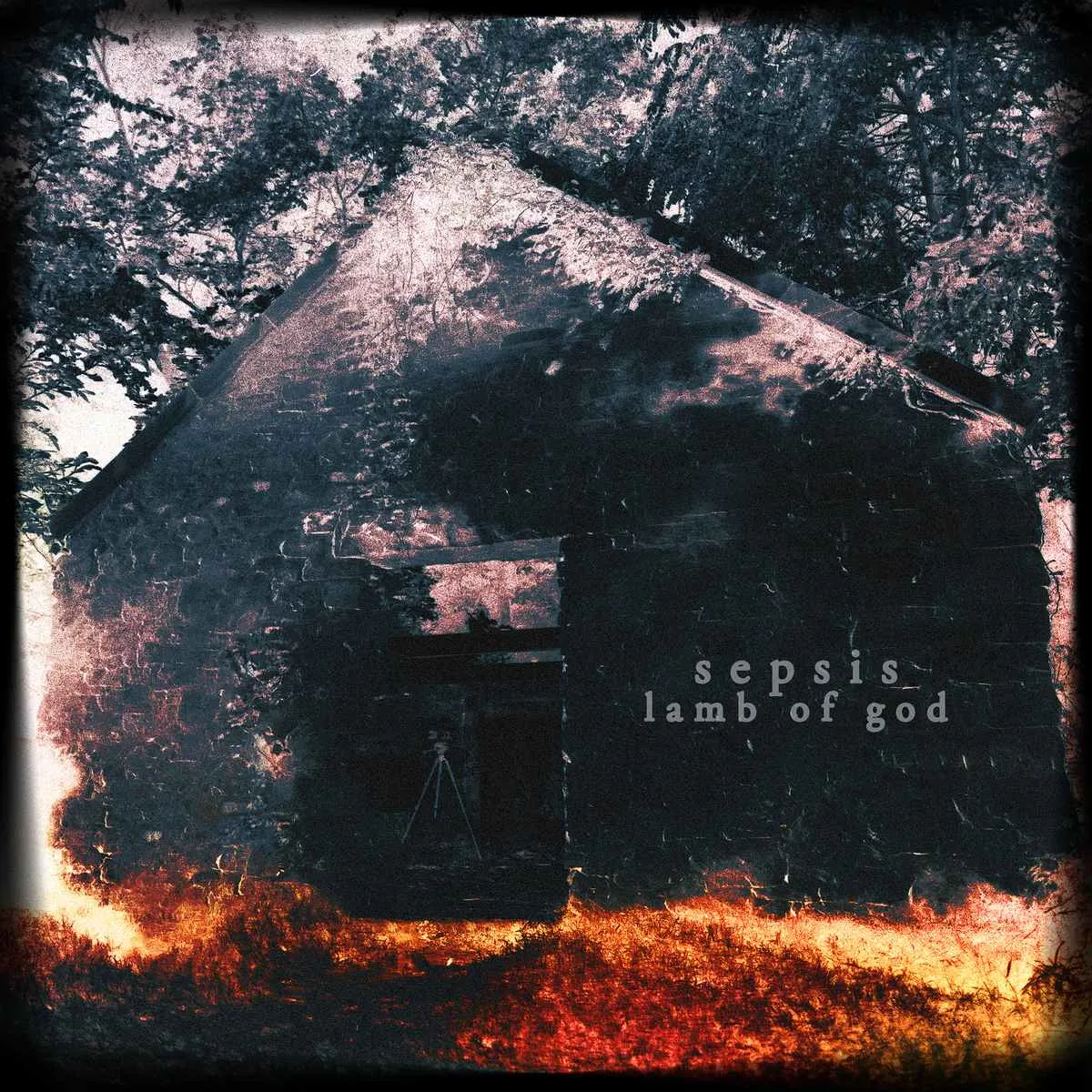 Sepsis