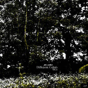 MDS - Different Colors Vol.5 Album Cover Artwork