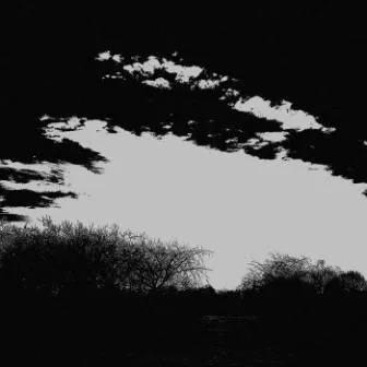 MDS - Lost Memories Album Cover Artwork