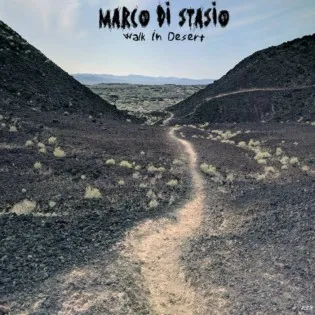 MDS - Walk in Desert Album Cover Artwork