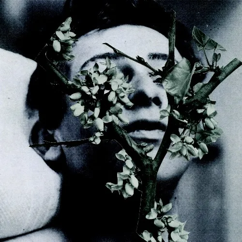 Manes - Slow Motion Death Sequence Album Cover