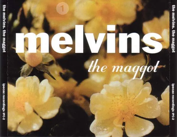 Melvins - The Maggot Album Cover Artwork