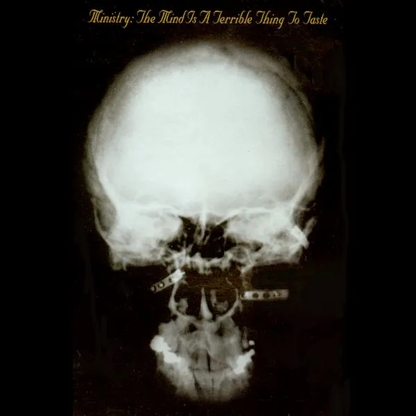 The Mind Is a Terrible Thing to Taste Album Cover