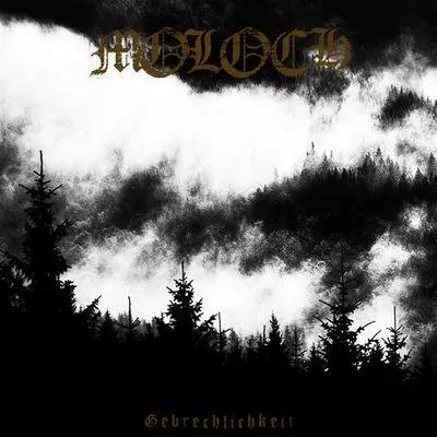 Gebrechlichkeit Album Cover