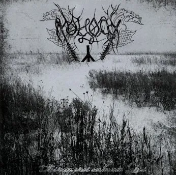 Illusionen eines verlorenen Lebens Album Cover
