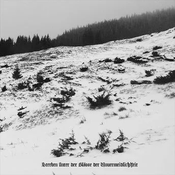 Sterben unter der Blässe der Unvermeidlichkeit Album Cover
