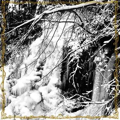Moloch - The Forest Kingdom Album Cover