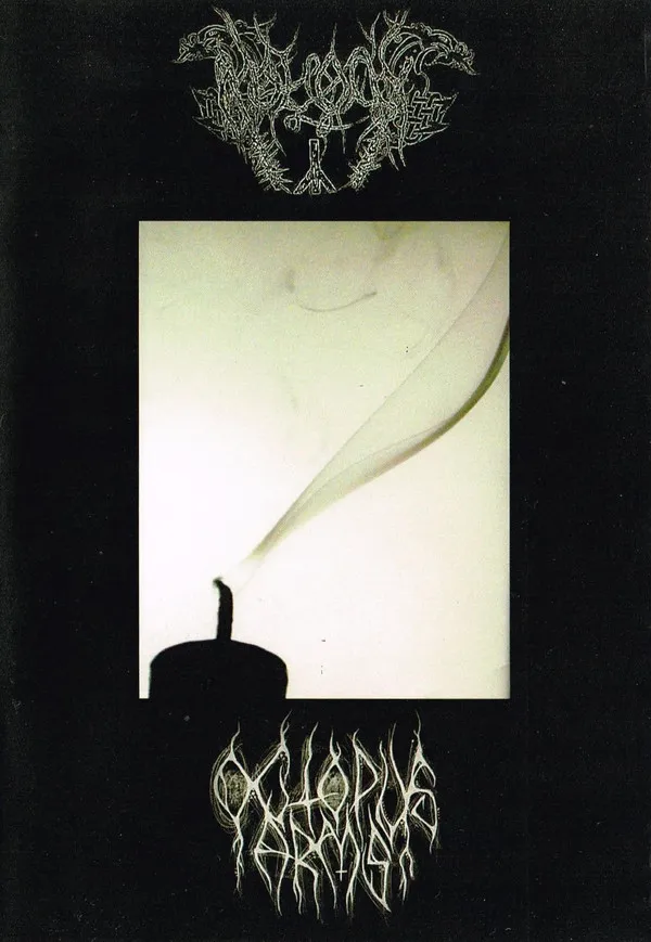 Zersetzung des Lichts Album Cover